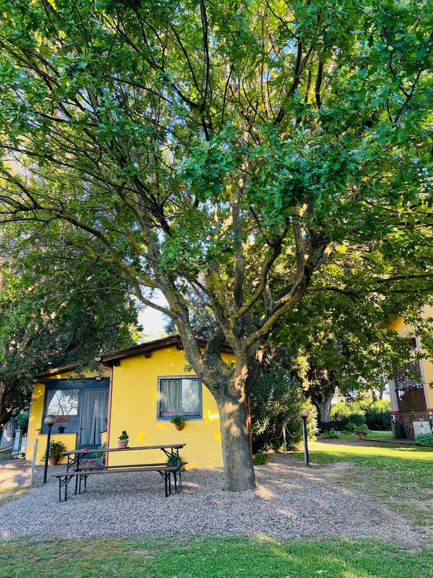 Il Melarancio Bed and Breakfast Pescia Romana Exteriör bild