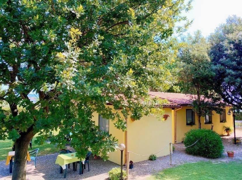 Il Melarancio Bed and Breakfast Pescia Romana Exteriör bild